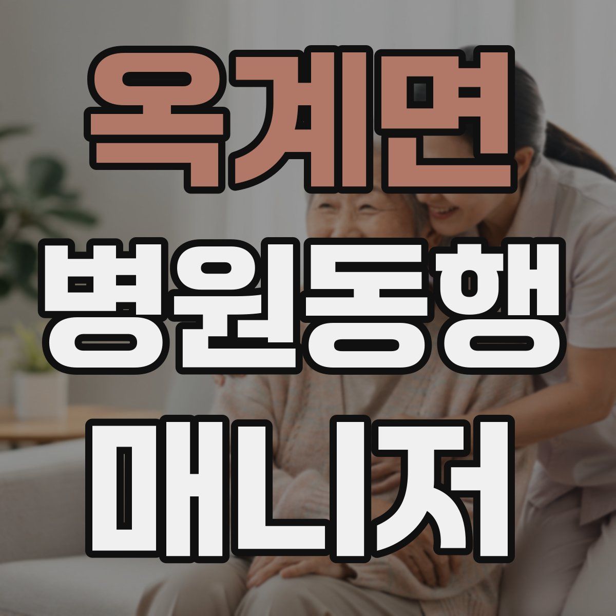 옥계면 병원동행매니저 자격증
