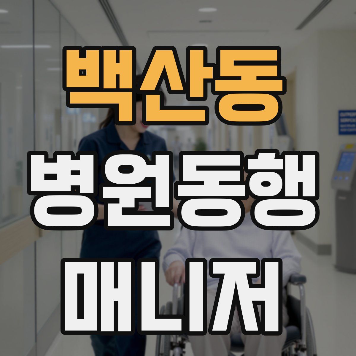 백산동 병원동행매니저 자격증