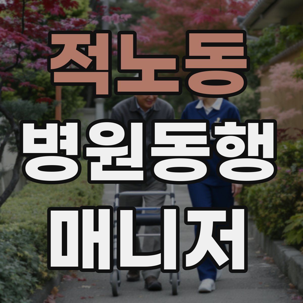 적노동 병원동행매니저 자격증