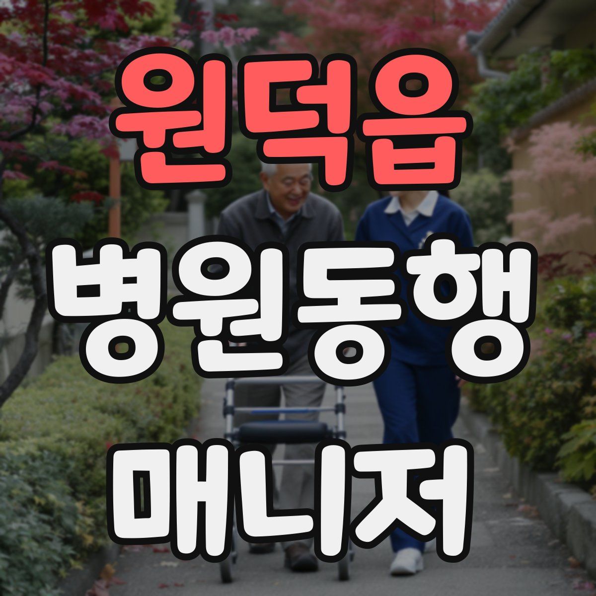 원덕읍 병원동행매니저 자격증