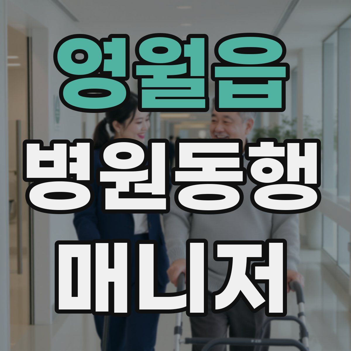 영월읍 병원동행매니저 자격증