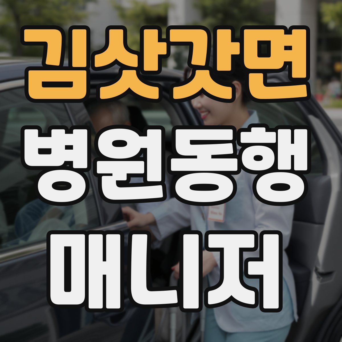 김삿갓면 병원동행매니저 자격증