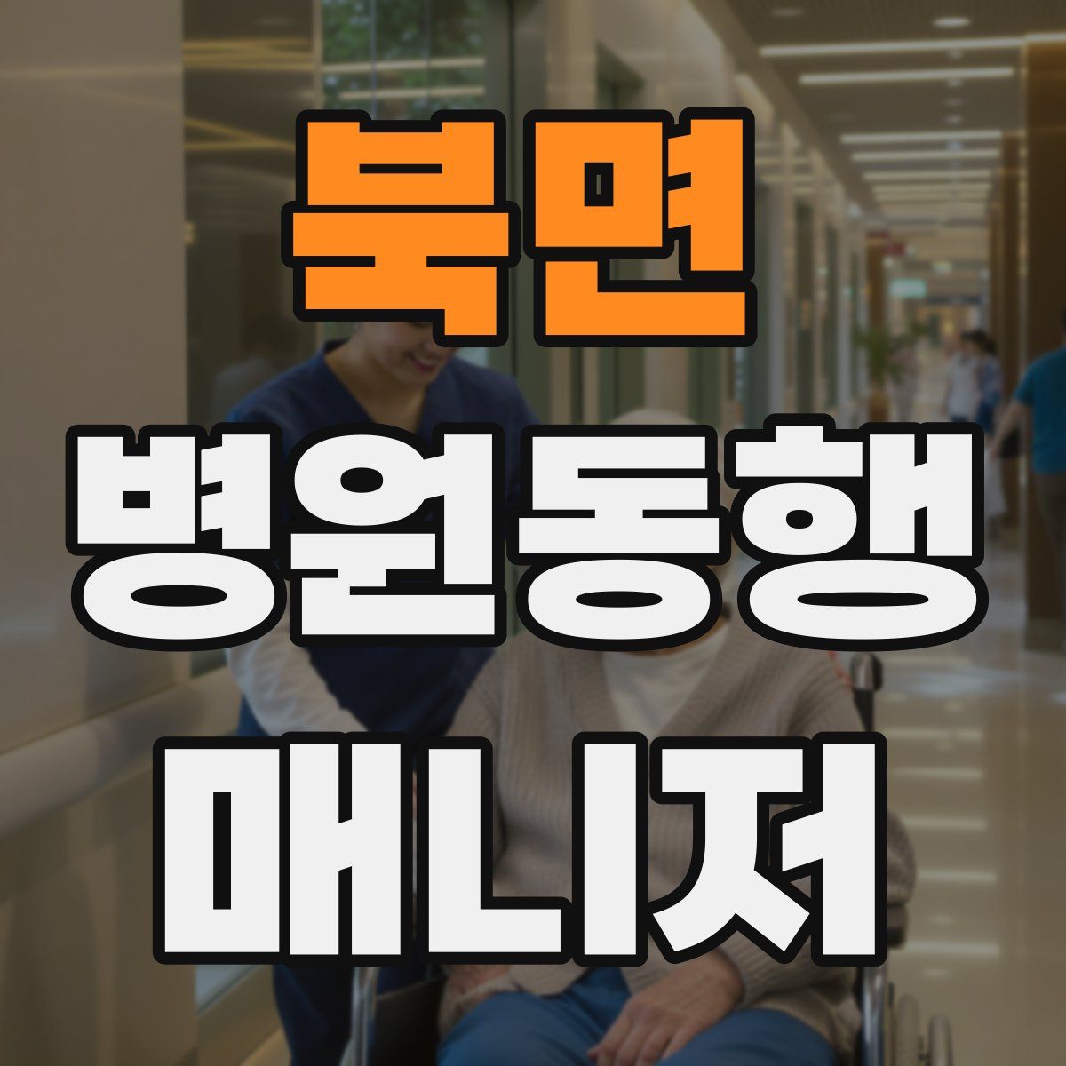 북면 병원동행매니저 자격증