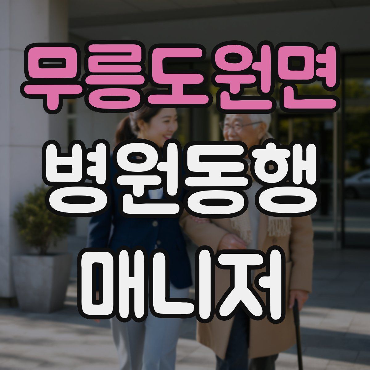 무릉도원면 병원동행매니저 자격증