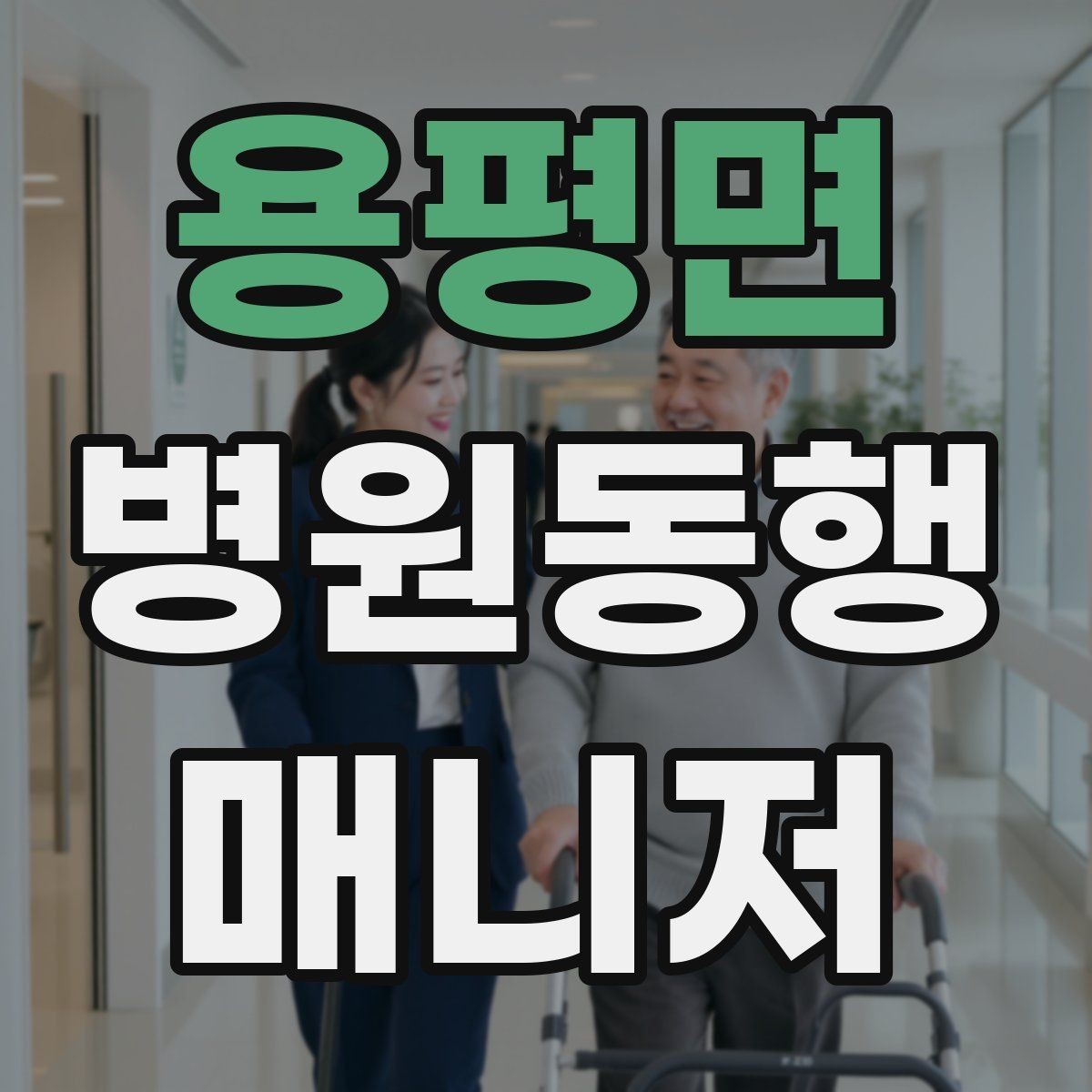 용평면 병원동행매니저 자격증 검사 동행과 진료 동행 차이