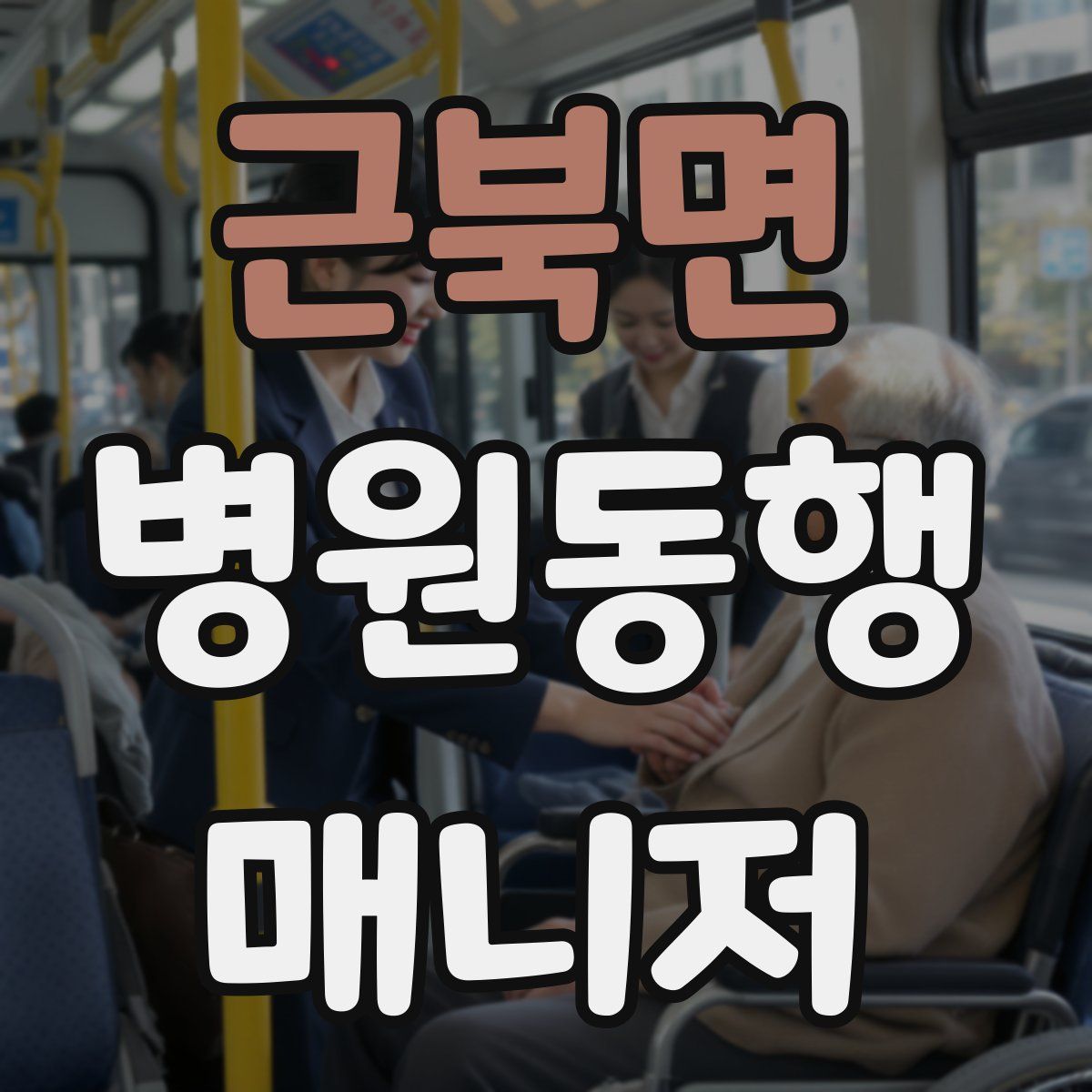 근북면 병원동행매니저 자격증