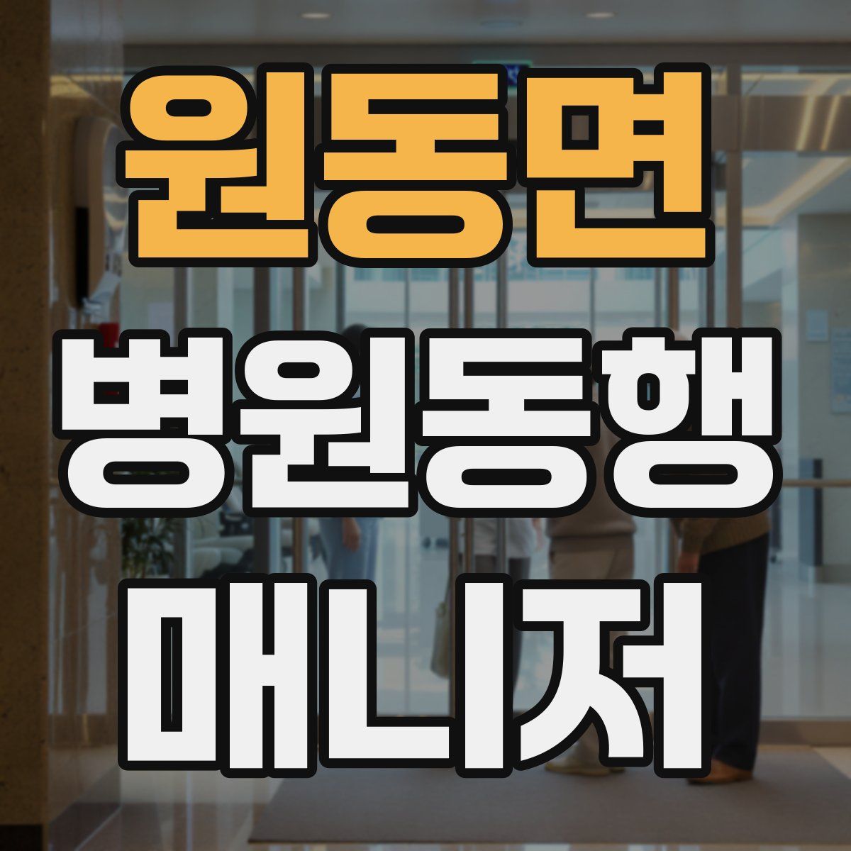 원동면 병원동행매니저 자격증