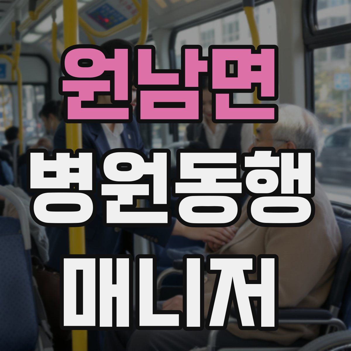 원남면 병원동행매니저 자격증