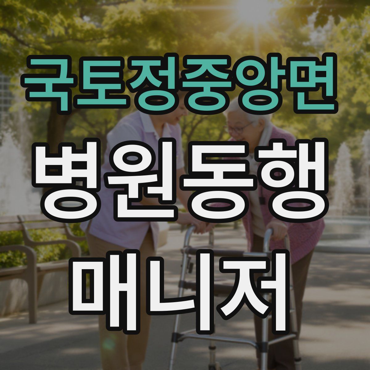 국토정중앙면 병원동행매니저 자격증