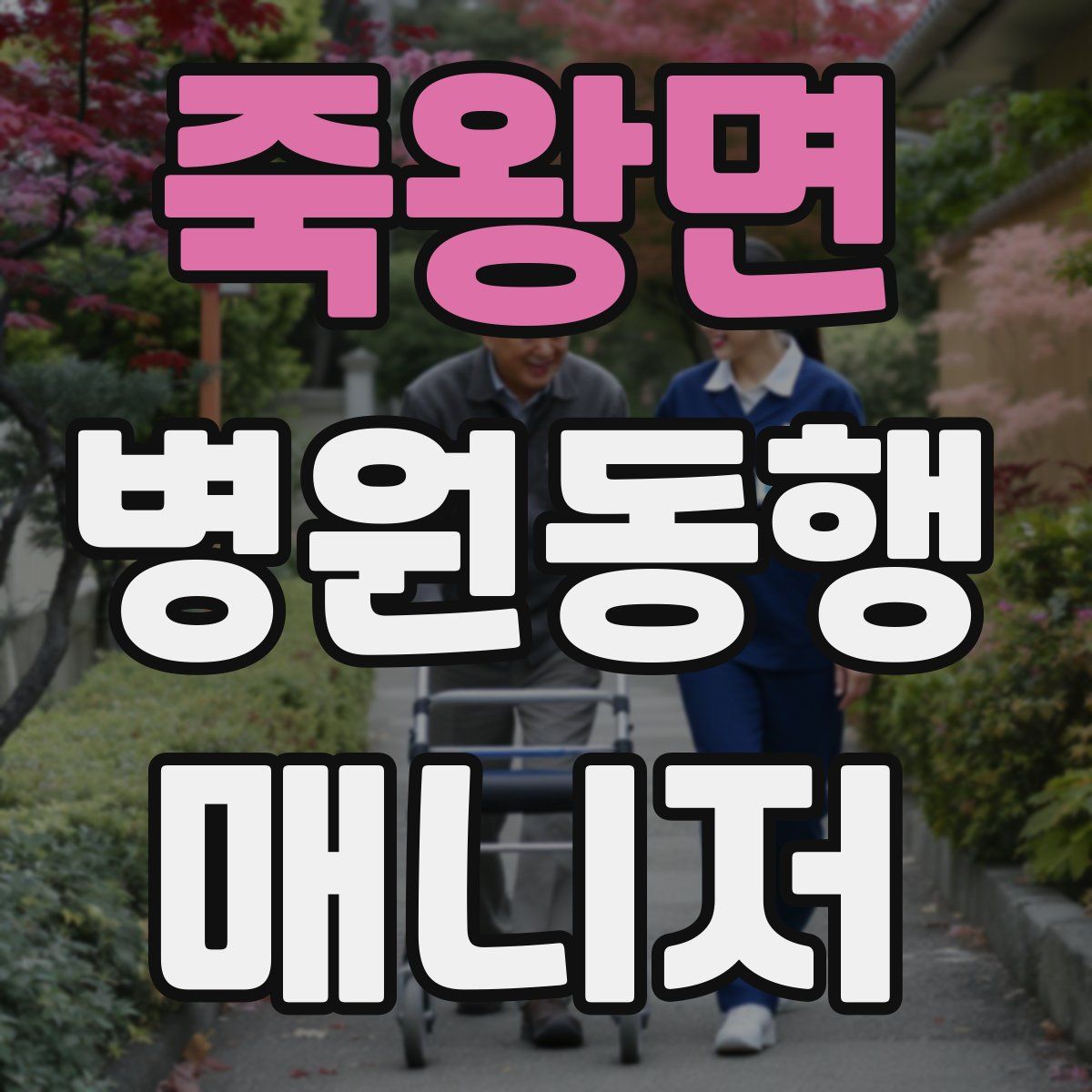 죽왕면 병원동행매니저 자격증