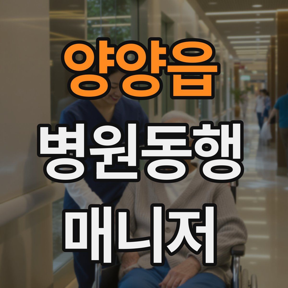 양양읍 병원동행매니저 자격증