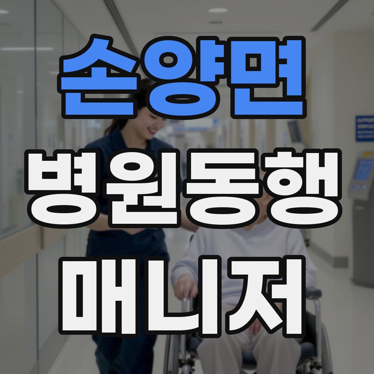 손양면 병원동행매니저 자격증