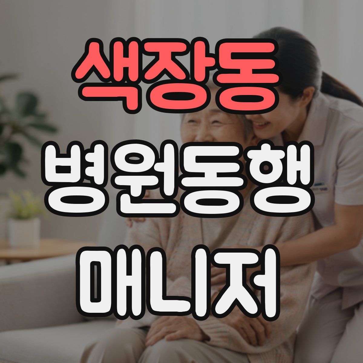 색장동 병원동행매니저 자격증