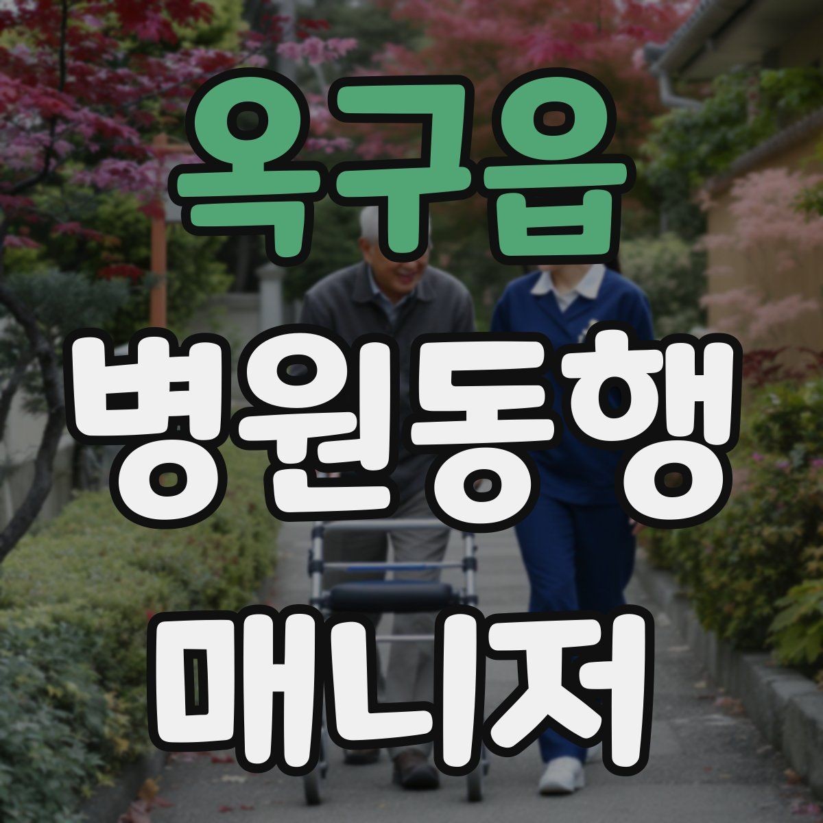 옥구읍 병원동행매니저 자격증 자주 나오는 개념을 빠르게 정리