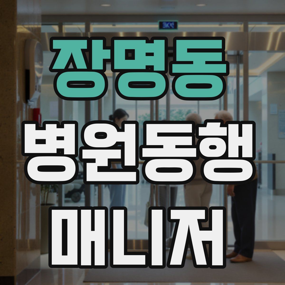 장명동 병원동행매니저 자격증