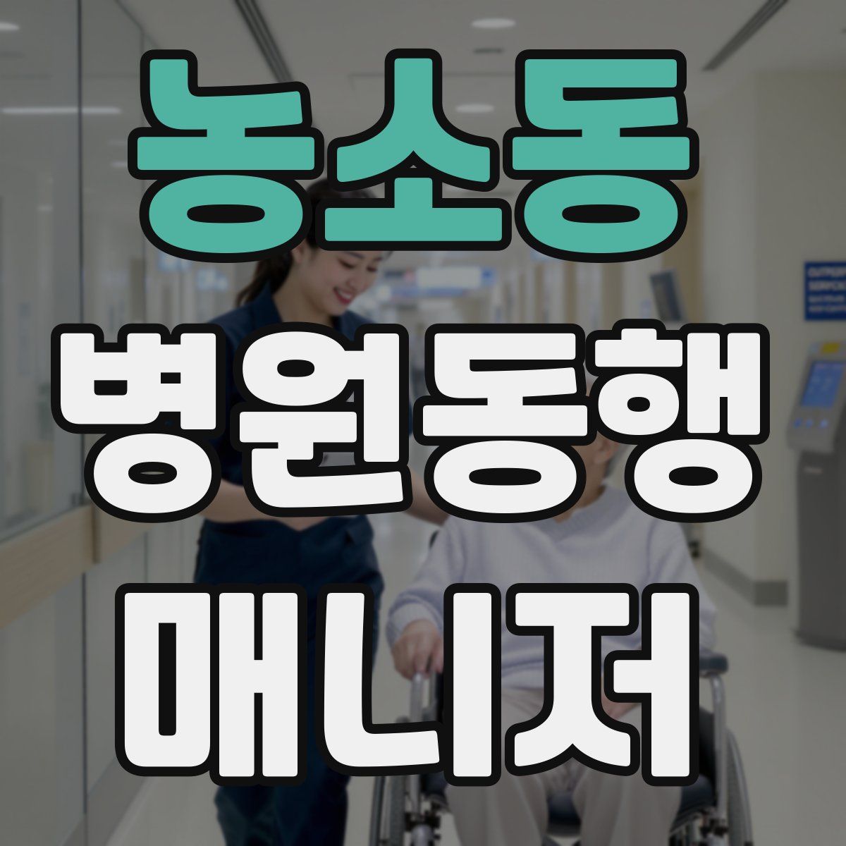 농소동 병원동행매니저 자격증