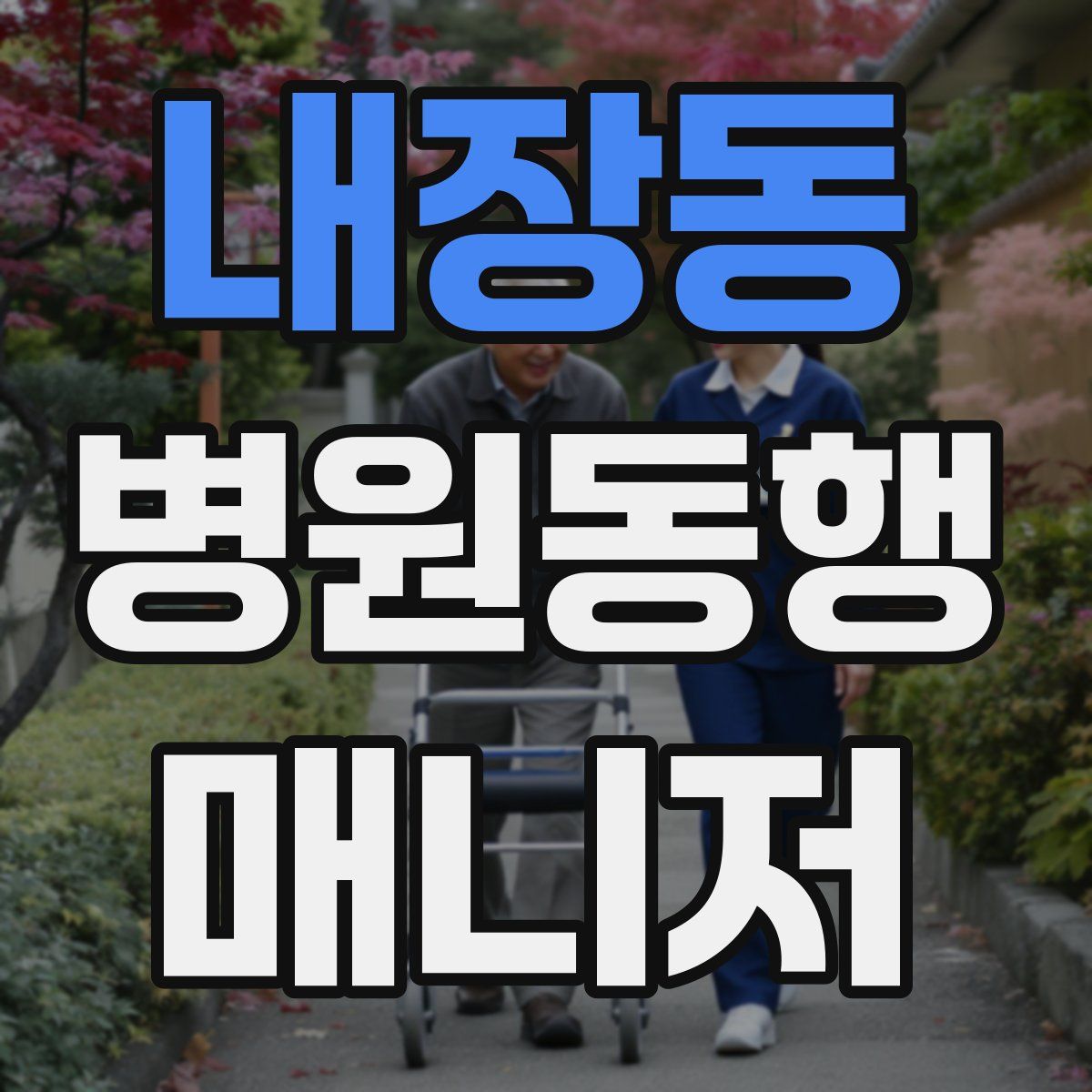 내장동 병원동행매니저 자격증