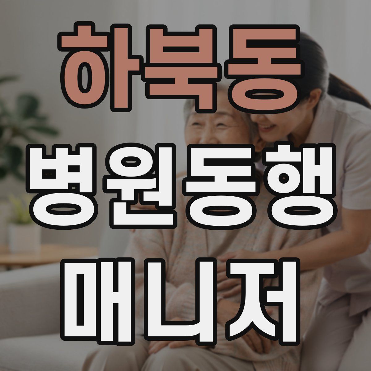 하북동 병원동행매니저 자격증