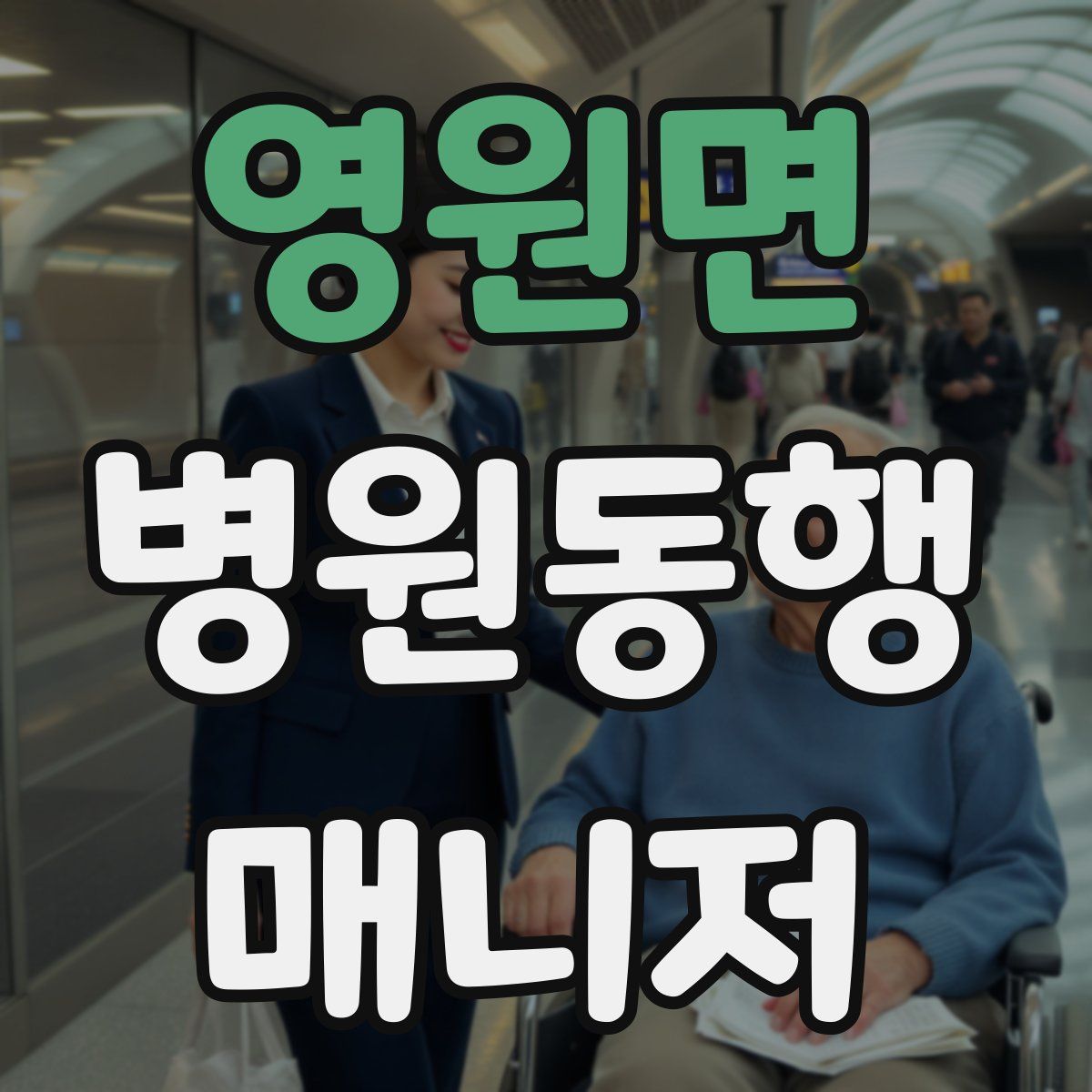 영원면 병원동행매니저 자격증