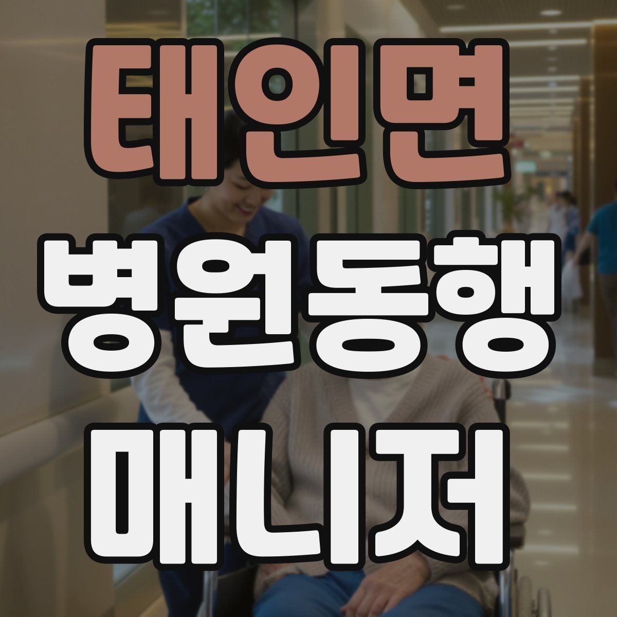 태인면 병원동행매니저 자격증 현장에서 자주 쓰는 표현 정리