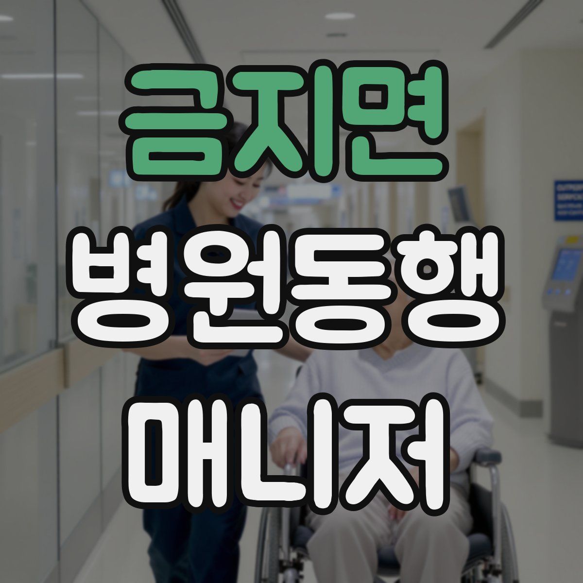 금지면 병원동행매니저 자격증