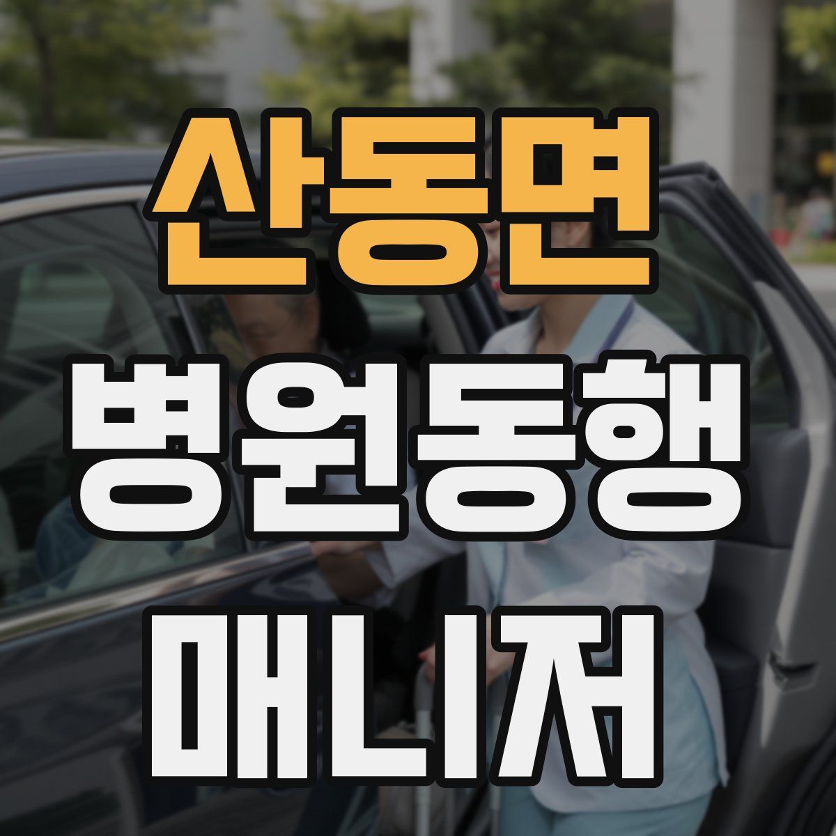 산동면 병원동행매니저 자격증