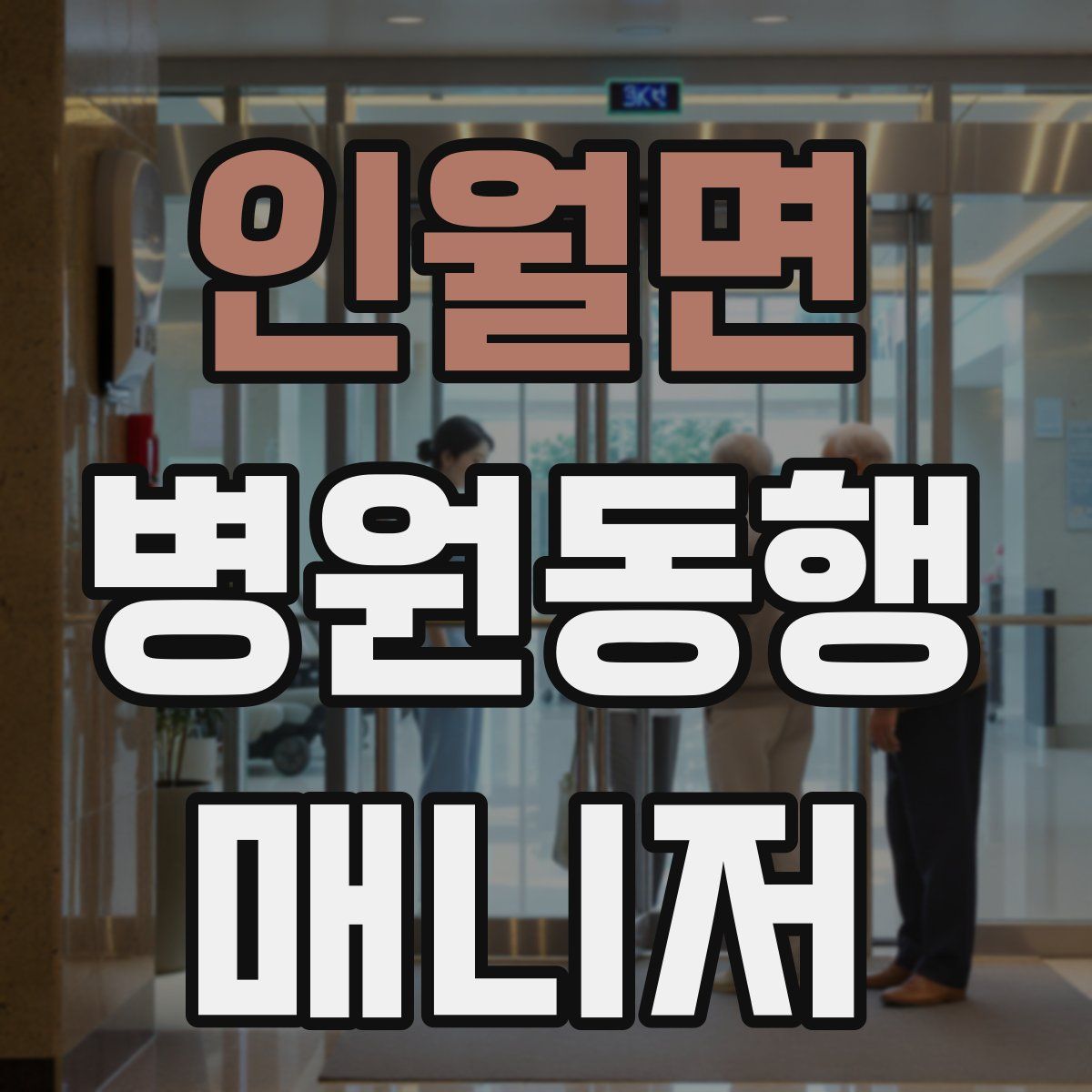 인월면 병원동행매니저 자격증