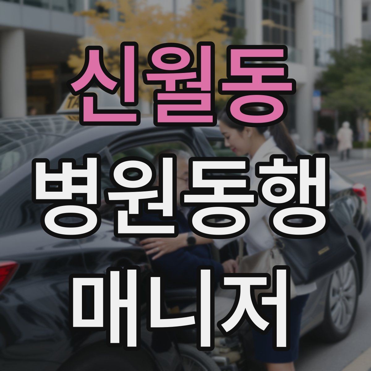 신월동 병원동행매니저 자격증 동행 범위 문구를 깔끔하게 정리하기