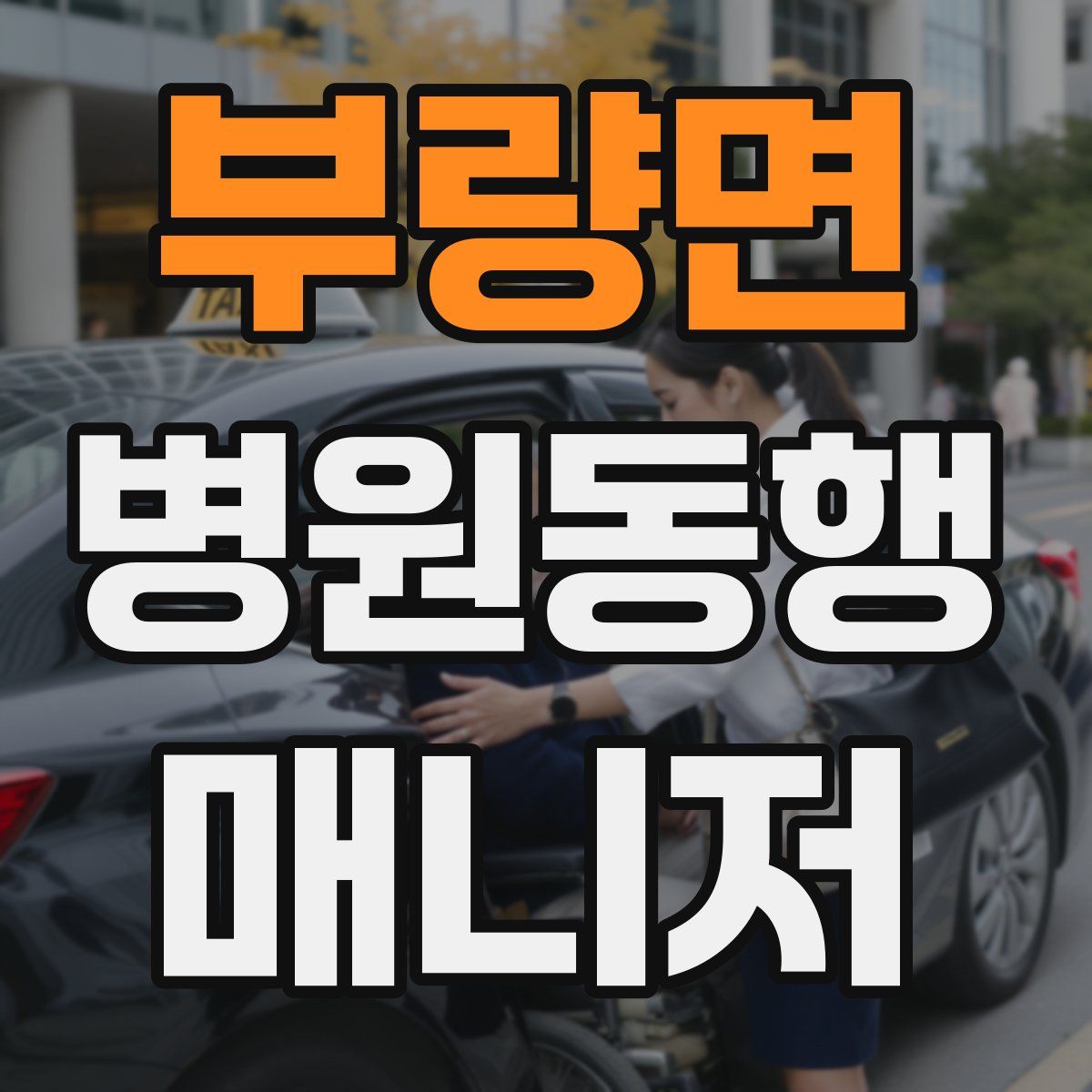 부량면 병원동행매니저 자격증