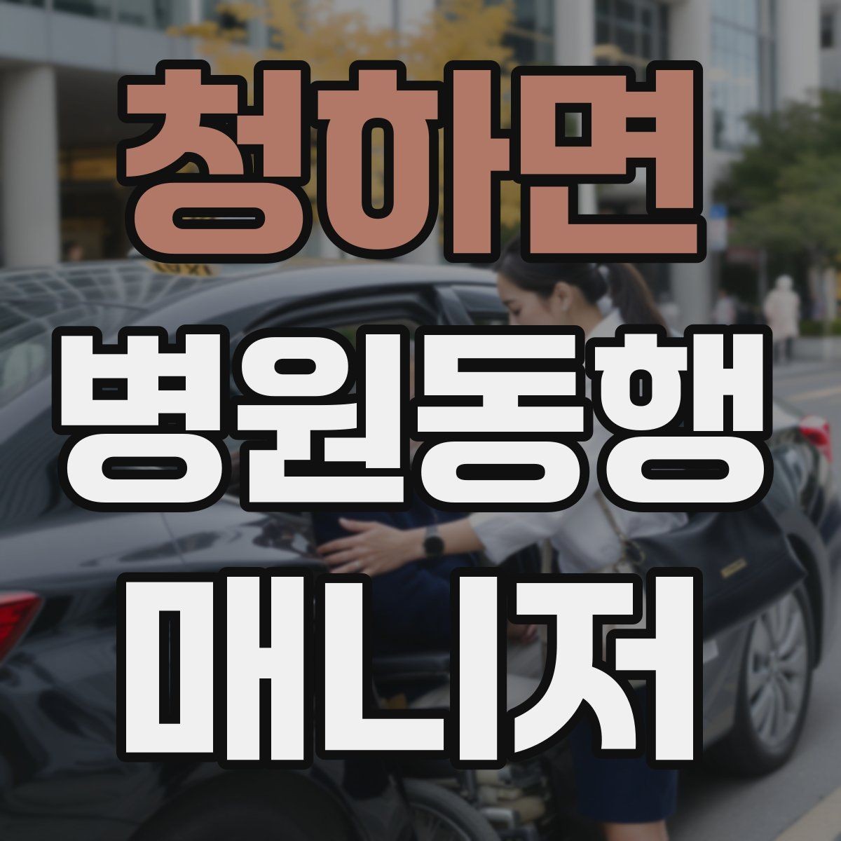 청하면 병원동행매니저 자격증 처방전 확인 포인트만 간단히 정리