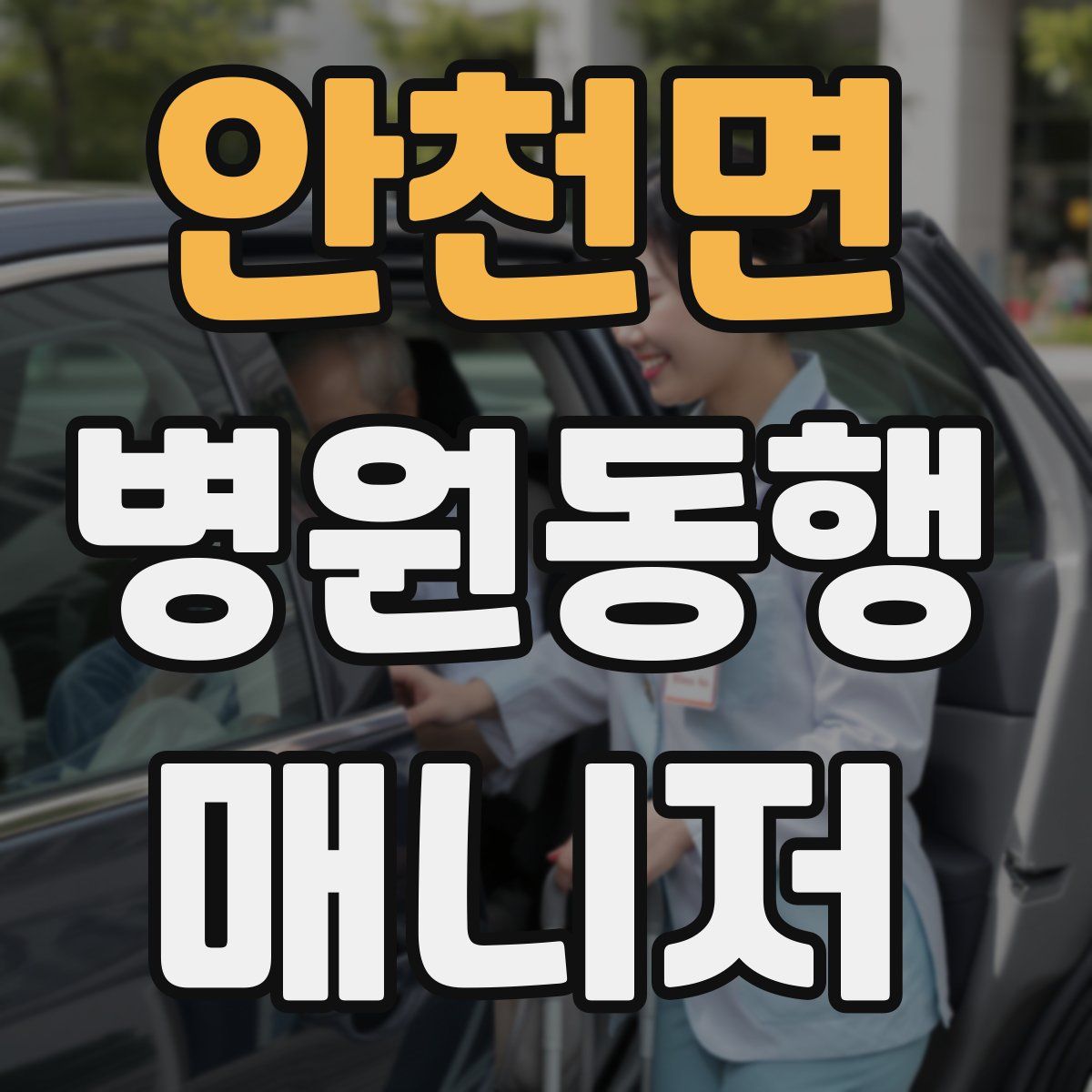 안천면 병원동행매니저 자격증