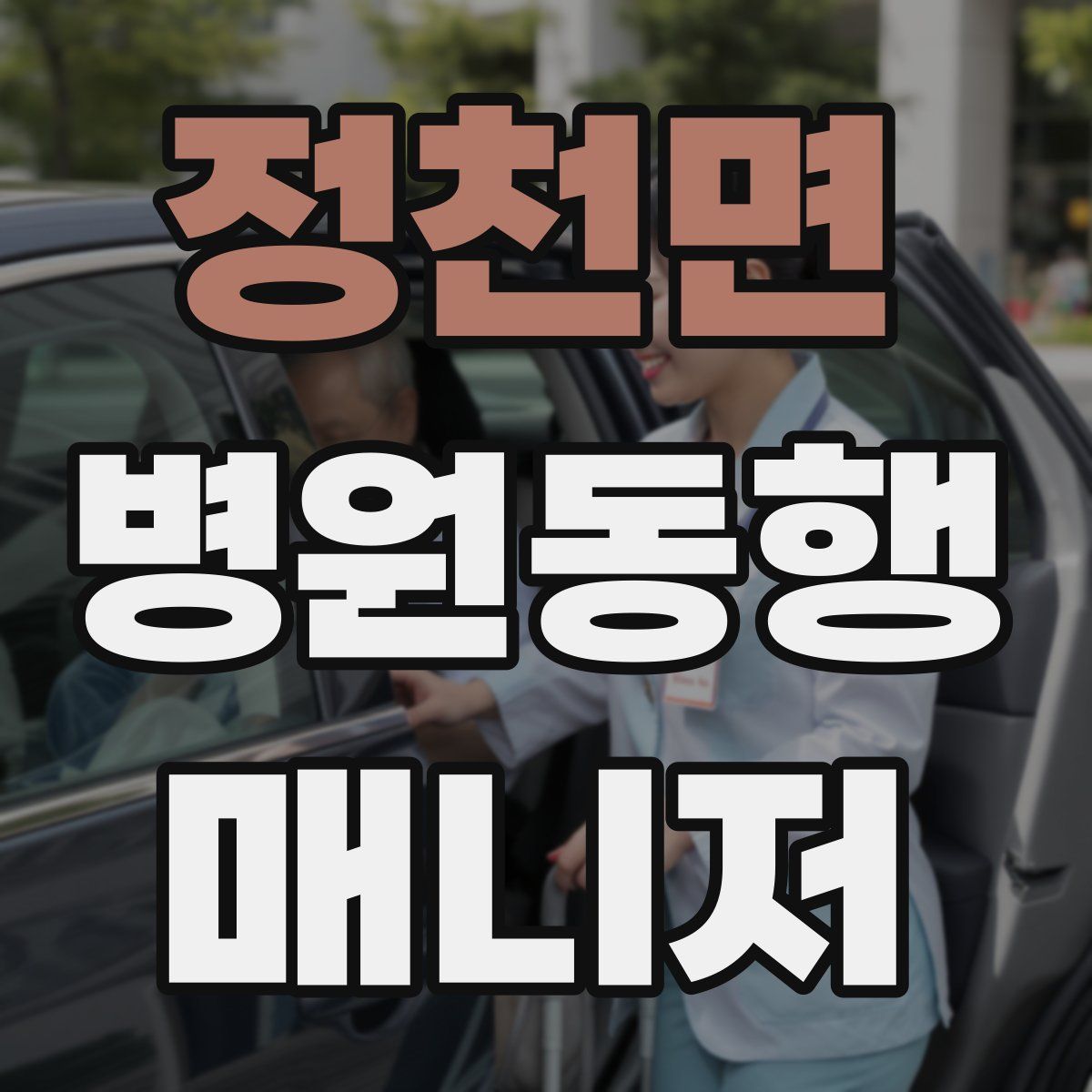 정천면 병원동행매니저 자격증