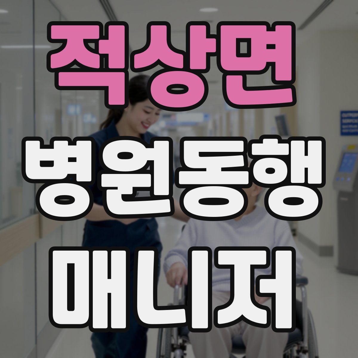 적상면 병원동행매니저 자격증