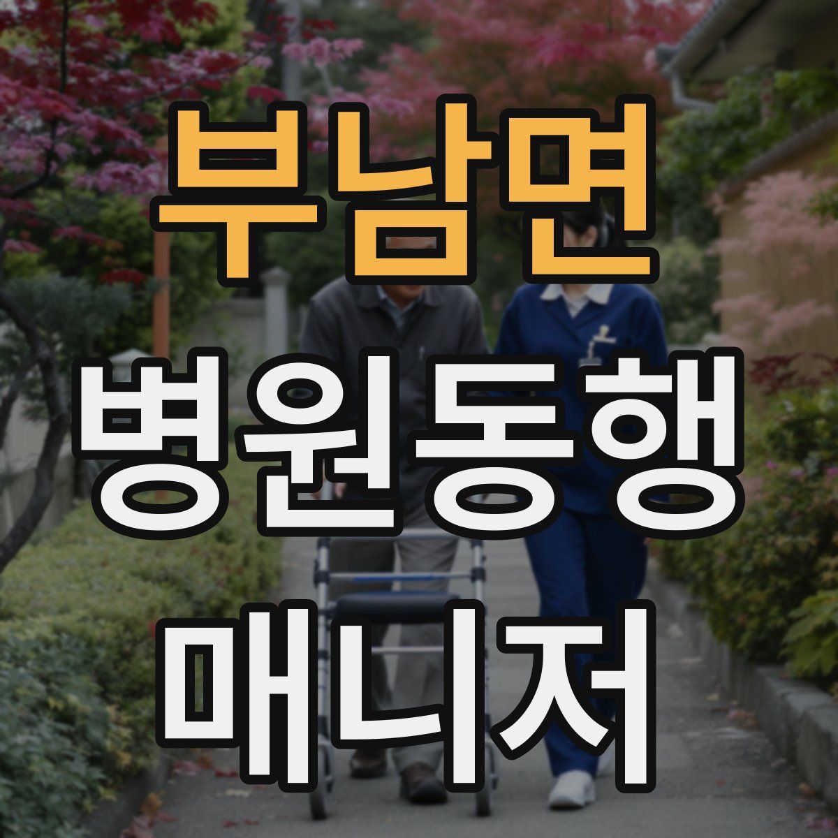 부남면 병원동행매니저 자격증