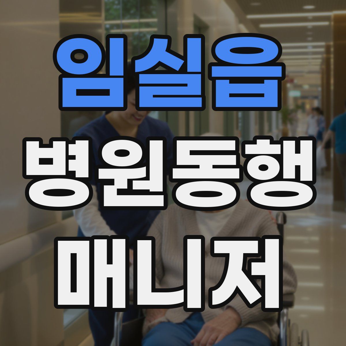 임실읍 병원동행매니저 자격증