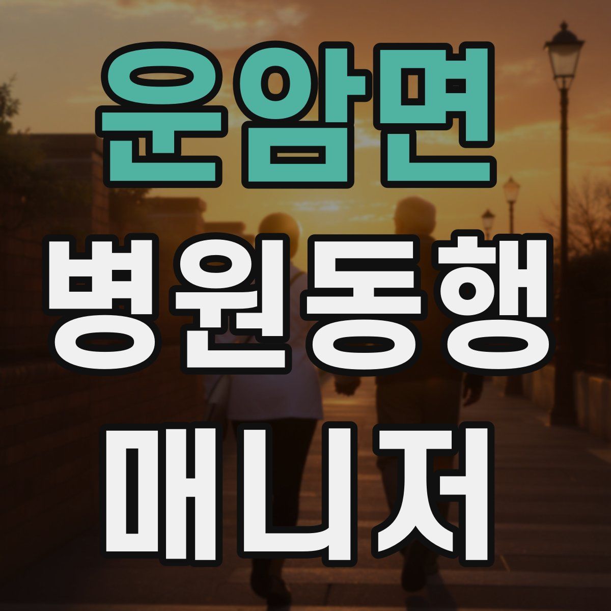 운암면 병원동행매니저 자격증