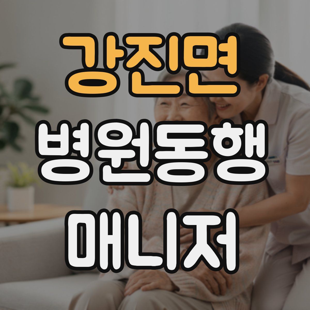 강진면 병원동행매니저 자격증
