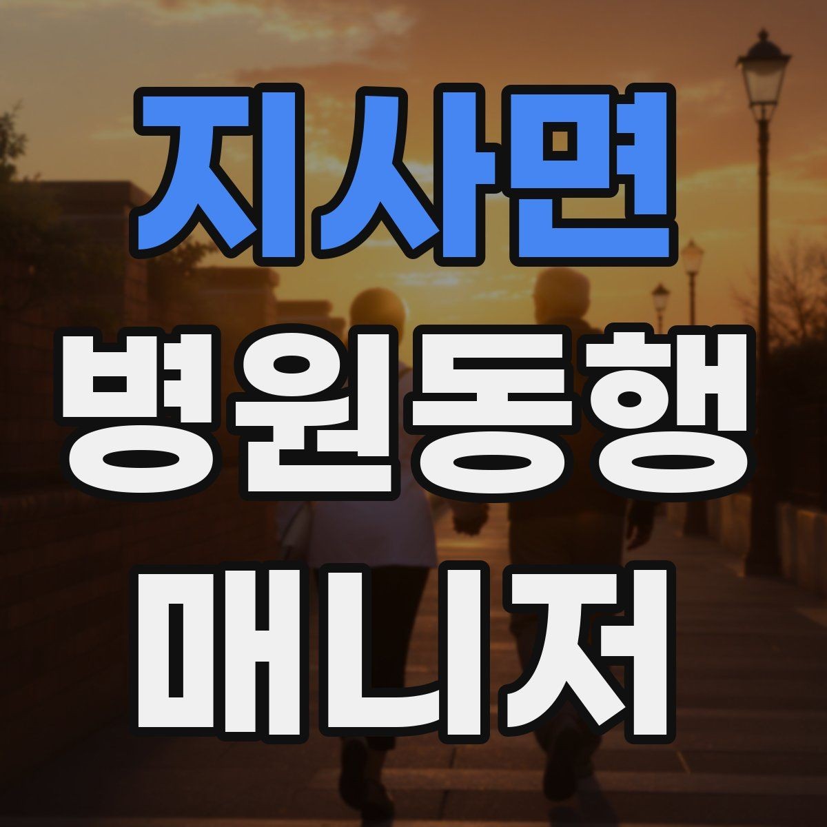 지사면 병원동행매니저 자격증 검사 동행과 진료 동행 차이