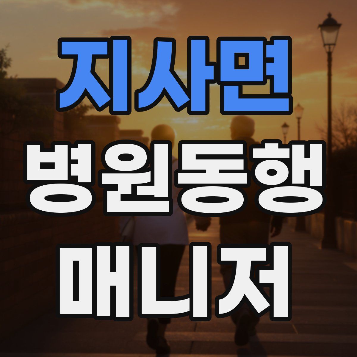 지사면 병원동행매니저 자격증