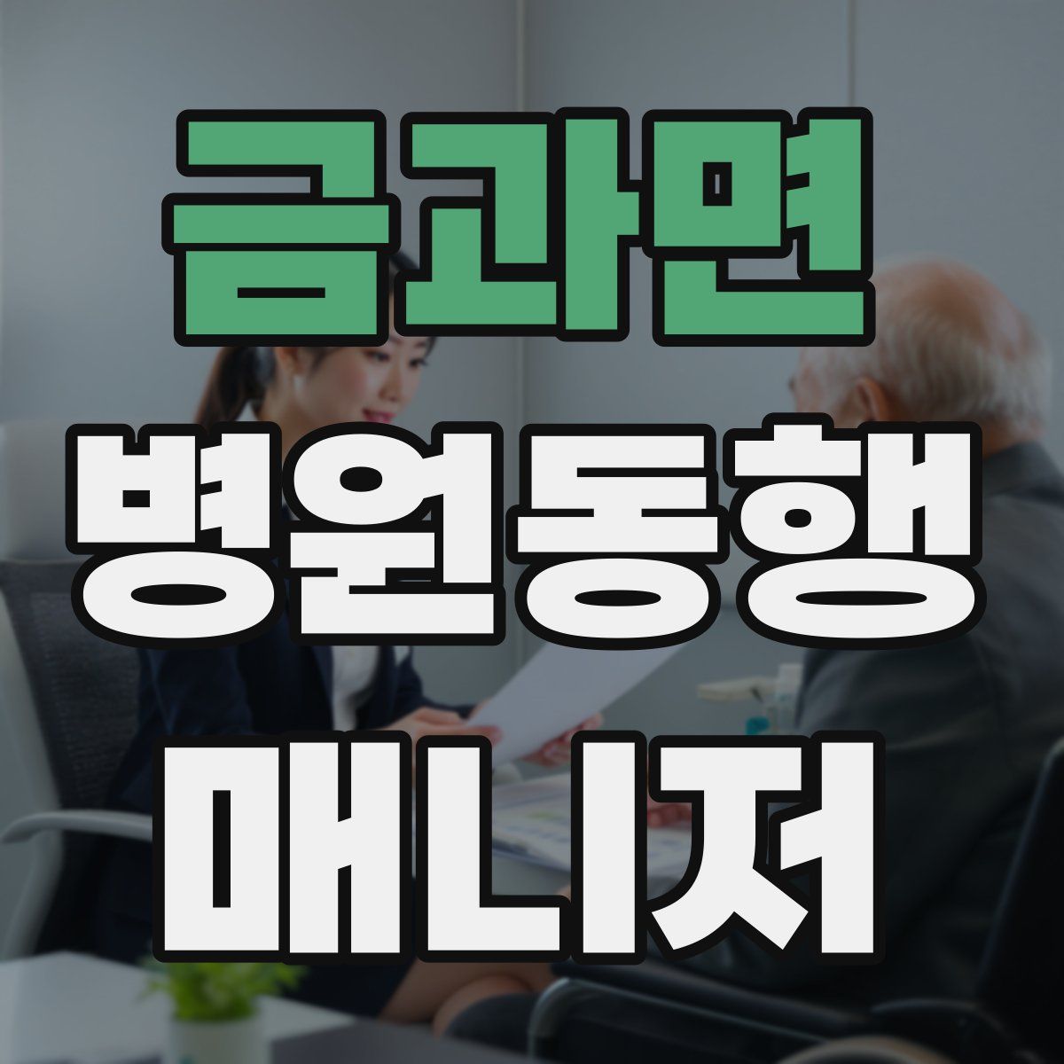금과면 병원동행매니저 자격증