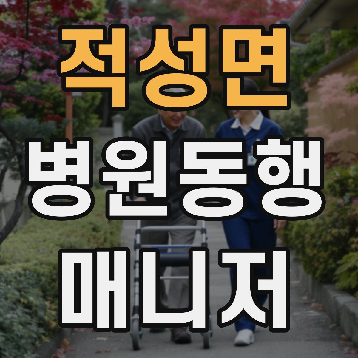 적성면 병원동행매니저 자격증