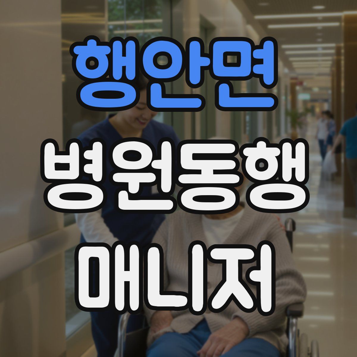 행안면 병원동행매니저 자격증