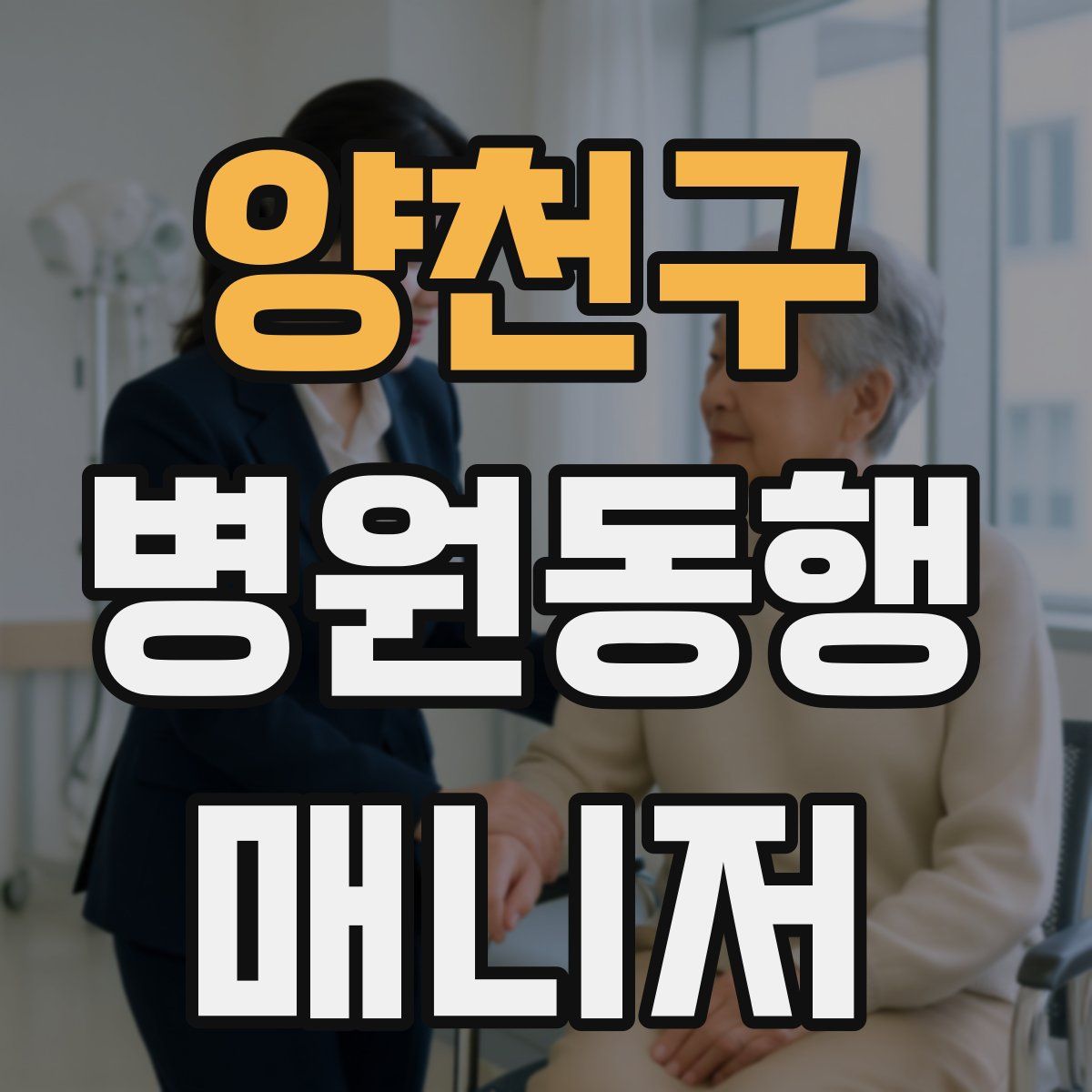 양천구 병원동행매니저 자격증