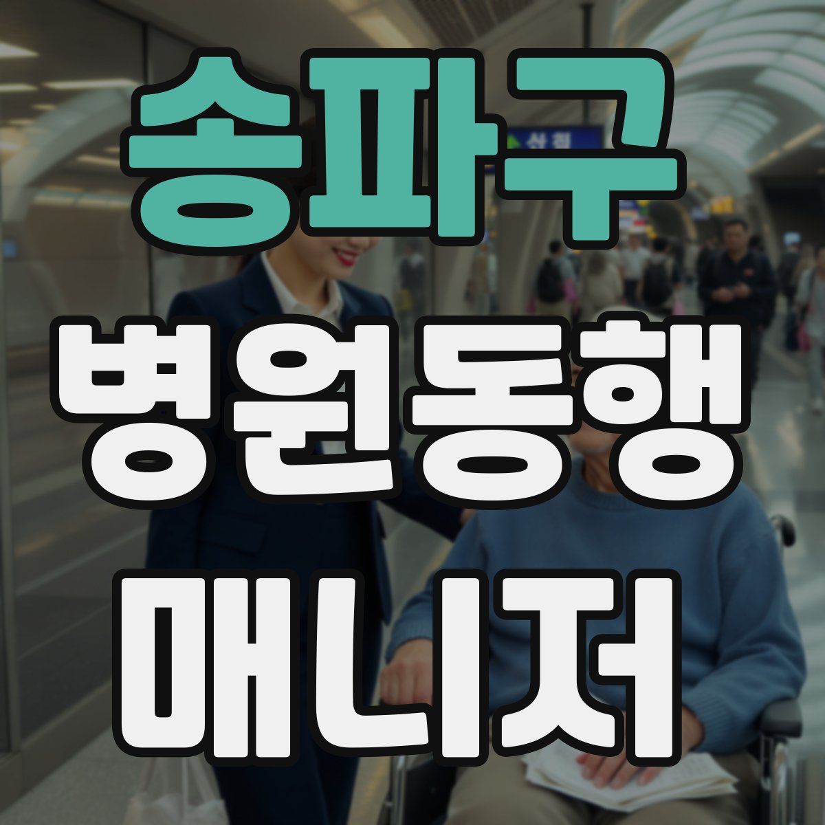 송파구 병원동행매니저 자격증