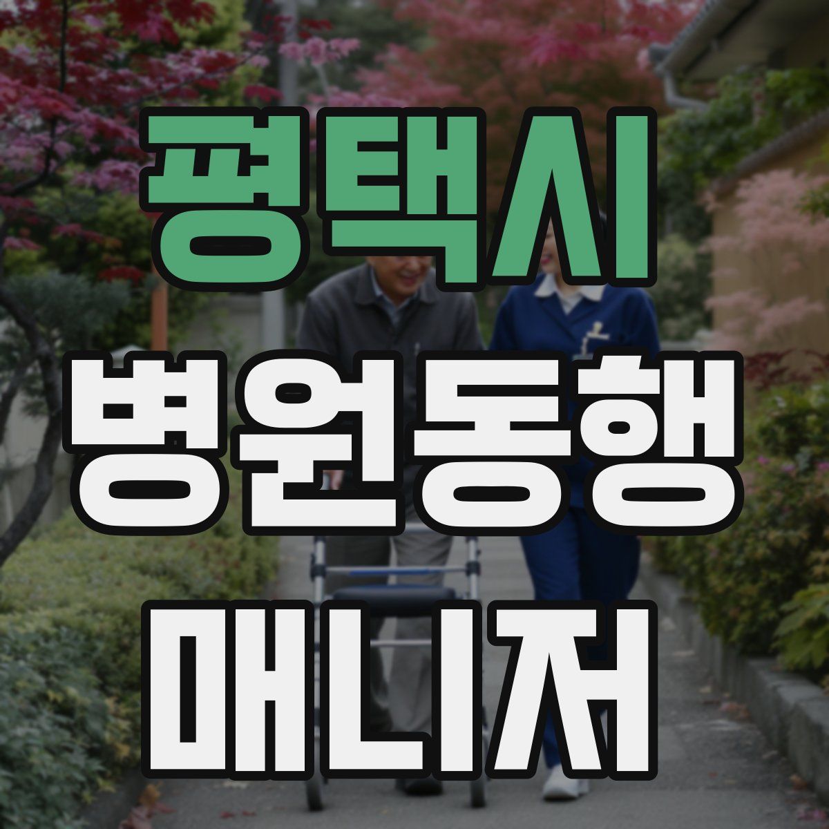 평택시 병원동행매니저 자격증