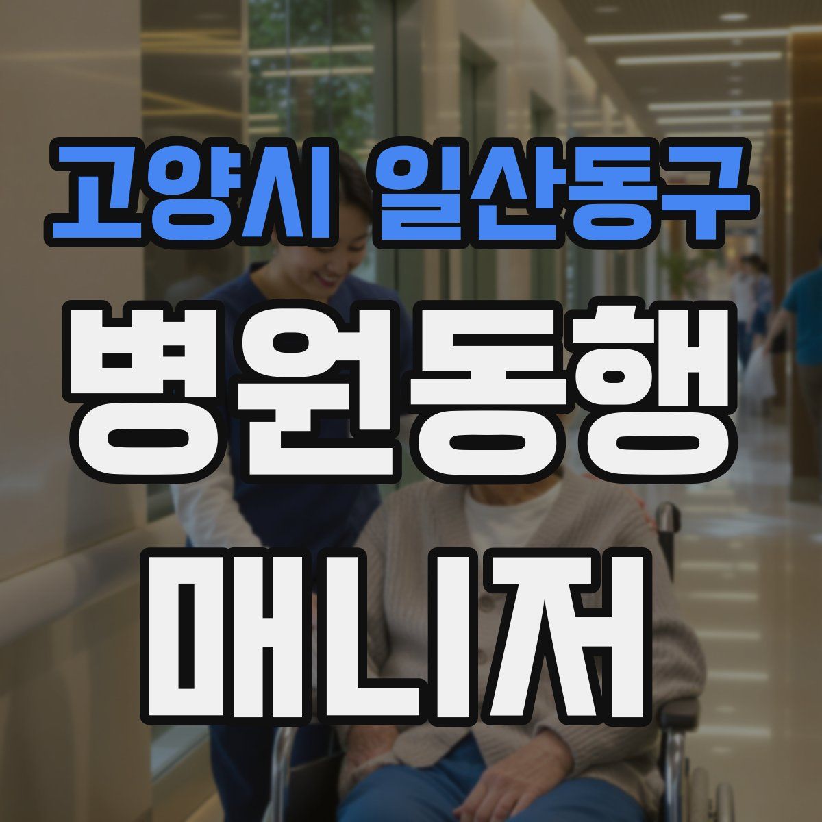 고양시 일산동구 병원동행매니저 자격증