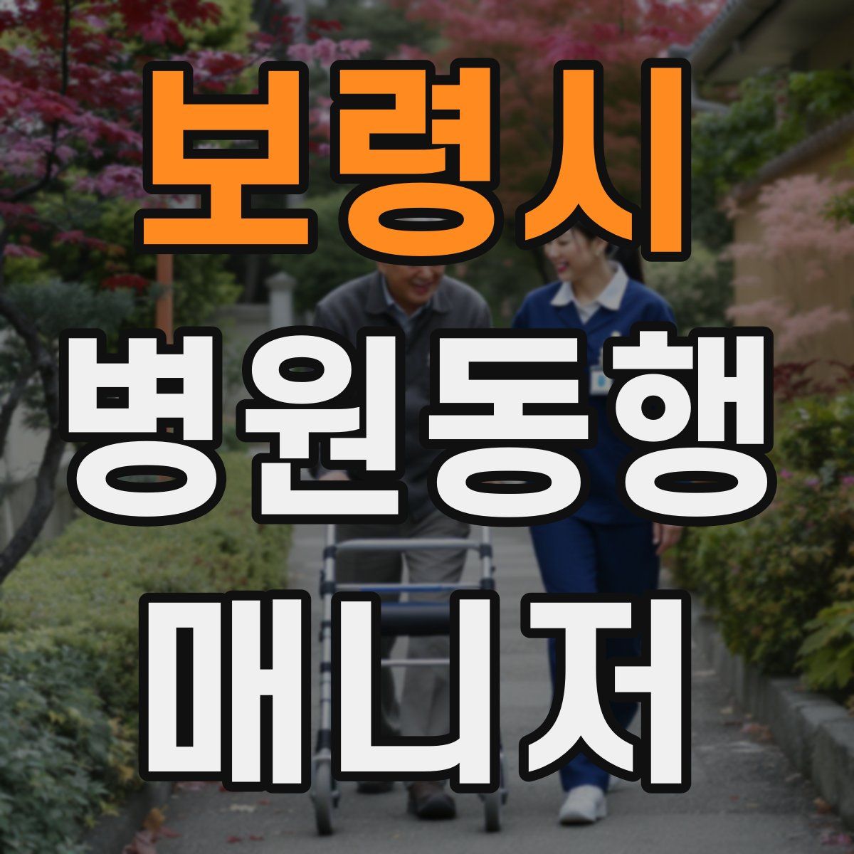 보령시 병원동행매니저 자격증