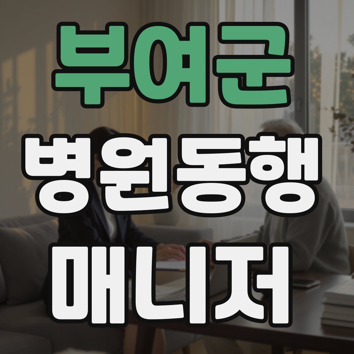 부여군 병원동행매니저 자격증