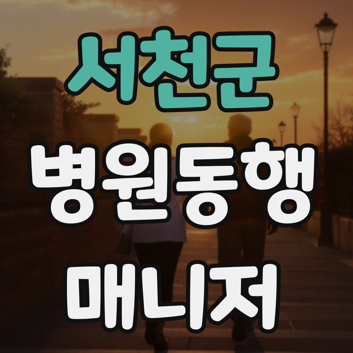 서천군 병원동행매니저 자격증
