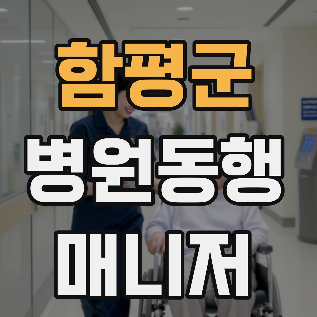 함평군 병원동행매니저 자격증